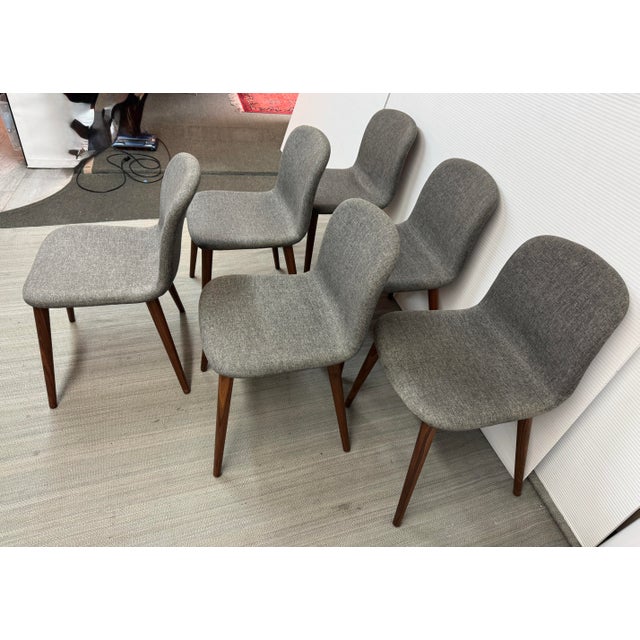 Omar De Baggio for Design Within Reach Bacco Chairs, Set of Six For Sale - Image 9 of 12