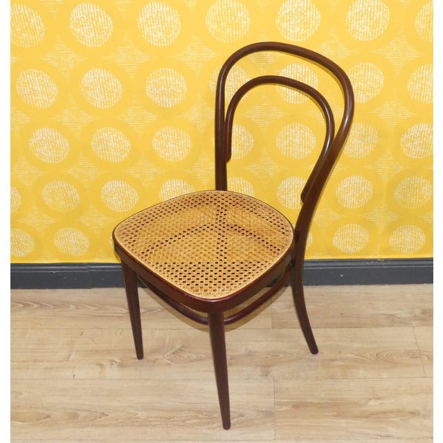 Vintage Bentwood Chairs by Michael Thonet for Thonet, 1960s, Set of 6 For Sale - Image 10 of 13