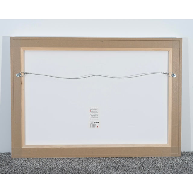 Professionally Framed Fine Art, C-Print by Frank Torng, Fuchsia, the Fan, and the Friend (HerShe Series), 2010 For Sale - Image 4 of 4