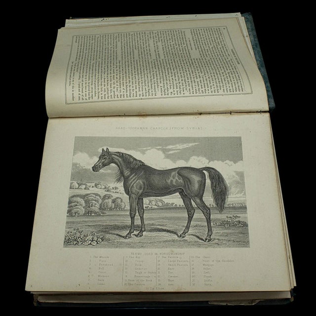 1900's Large English Antique Book Modern Practical Farriery For Sale - Image 6 of 12