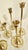 Mid 20th Century Vintage Curated Collection of Polished Brass Tulip Candlestick Holders - Set of 10 For Sale - Image 5 of 10
