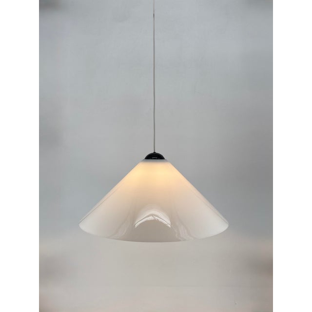 Snow Pendant Lamp by Vico Magistretti for Oluce, Italy, 1970s For Sale - Image 10 of 10