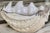 Pottery Barn Under the Sea Clam Chowder Bowl For Sale - Image 15 of 16