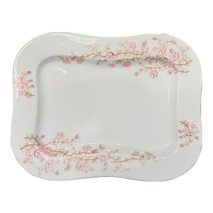 Antique Mark and Gutherz Carlsbad Platter
