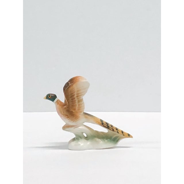 1960s Vintage 1960s Western Germany Porcelain Pheasant Figurine For Sale - Image 5 of 5