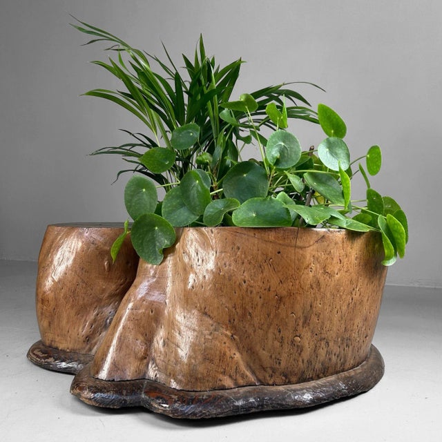 Wood Antique Japanese Wooden Hibachi, 1890s For Sale - Image 7 of 18