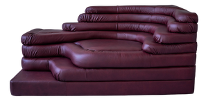 Terrazza Landscapes in Burgundy Leather by Ubald Klug for de Sede, 1970s, Set of 4