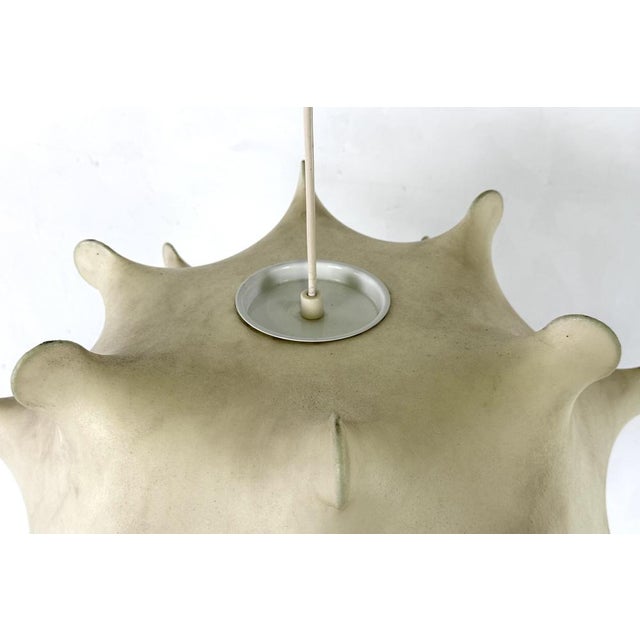 Taraxacum Pendant Light by Achille and Pier Giacomo Castiglioni, 1960s For Sale - Image 9 of 12