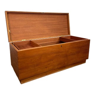 Mid 20th Century Modern Riis Antonsen Danish Teak Chest Trunk For Sale