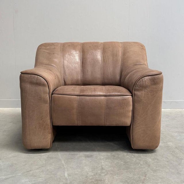 Vintage Swiss DS44 Lounge Chair from de Sede, 1970s For Sale - Image 3 of 14
