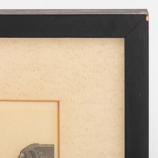 1960s Paul Strand "Woman and Baby, Hidalgo" Photogravure For Sale - Image 5 of 6