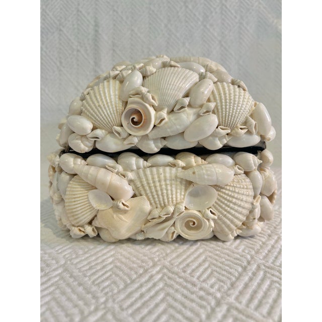 Traditional Late 20th Century Coastal or Palm Beach Sailors Valentine White Shell Encrusted Box For Sale - Image 3 of 8