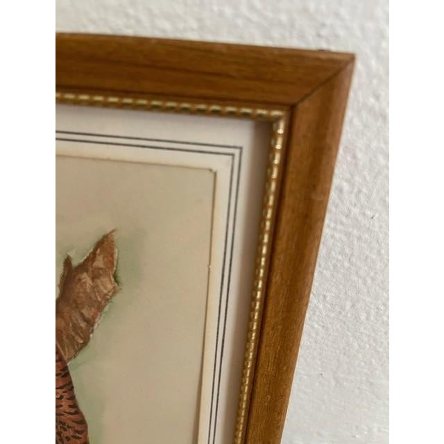 Brown Mid 20th Century Original Bird Watercolors, Vintage, A Pair For Sale - Image 8 of 11