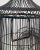 Vintage Large Iron Bird Cage For Sale - Image 4 of 6