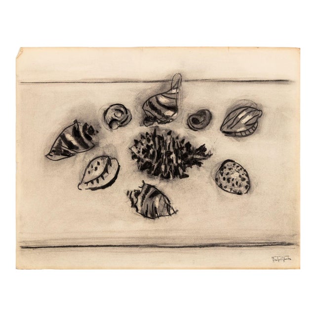 Manfred Schwartz Still Life of Seashells Charcoal For Sale