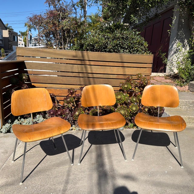 Vintage 1990s Eames DCM-style Molded Plywood Dining Chairs Purchased From Grot Modern Furniture in Redondo Beach. For Sale - Image 10 of 12