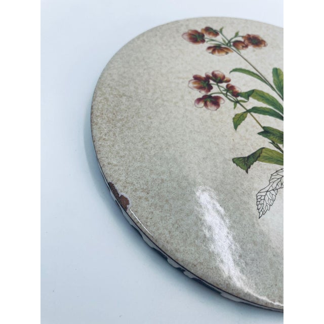A decorative wall plate of Italian origin, made of high-quality ceramic. The plate features a botanical illustration...