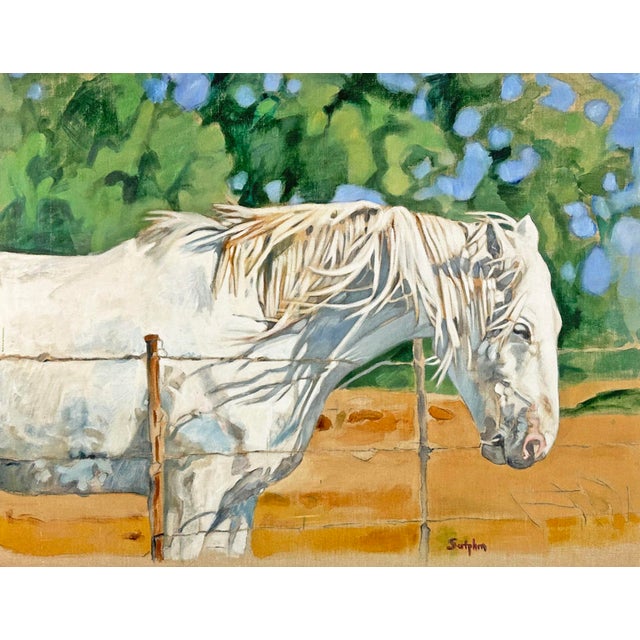 An oil on canvas painting of a horse by the American artist Katharine Sutphin (1954-2014). This piece features a white...