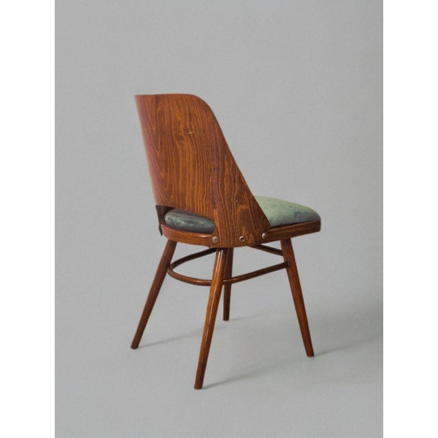 1960s Mid-Century Czech Model 514 Chair in Walnut by Oswald Haerdtl for Ton, 1960s For Sale - Image 5 of 13