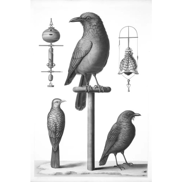 'Birds' Watercolor & Pencil Black and White Print For Sale - Image 6 of 6