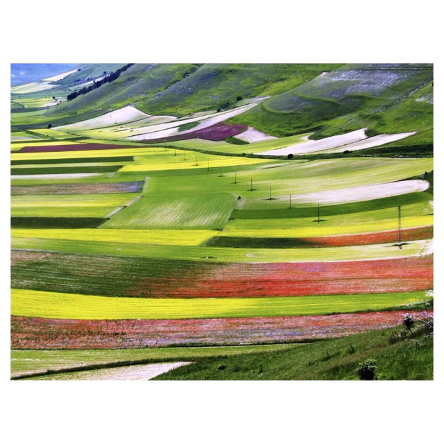 Giuseppe Marani, Nuances, Original Photograph, 2010s For Sale