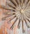 Early 20th Century 19th or 20th Century Italian Baroque Style Giltwood Carved Sunburst For Sale - Image 5 of 18