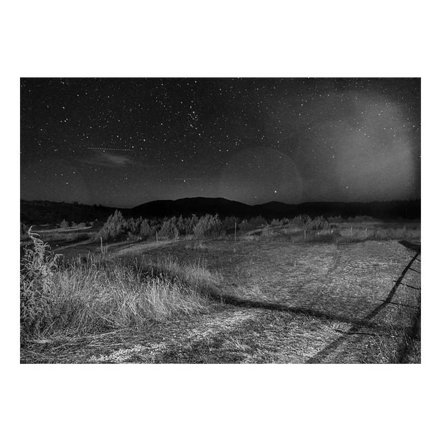 Serena Zeppilli, Taitn_Zabljak_2019, Original Photograph For Sale