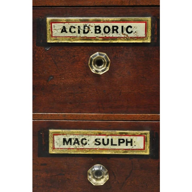 Late 19th Century 19th Century Victorian Mahogany Apothecary Medicine Cabinet With 10 Drawers Glass Pulls For Sale - Image 5 of 12