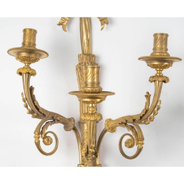 Louis XVI Style Ormolu Wall Lights, Set of 2 For Sale - Image 5 of 7