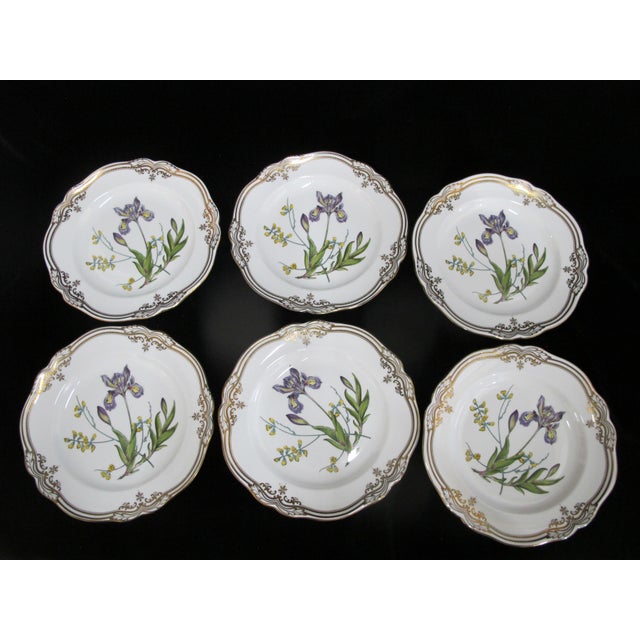 Ceramic Spode Stafford Flowers Iris & Sphaerolobium Gilt Bone China Dinner Plate Set of 6 For Sale - Image 7 of 8