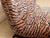 Mid 20th Century 1950s Tiger Print Sculptural Chaise Lounge Newly Upholstered For Sale - Image 5 of 11