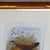 Wood 19th Century Cassell Bird Chromolithographs in Gold Bamboo Frames - A Pair For Sale - Image 7 of 12