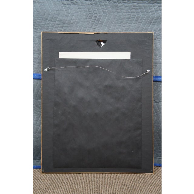 Antique John Gould Ornithological Myiabeillia Hummingbird Lithograph Print For Sale - Image 6 of 11