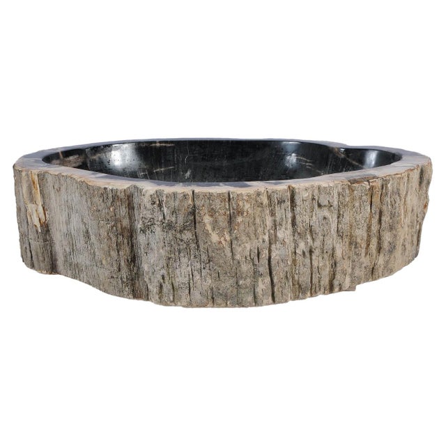 This exceptional petrified wood wash basin is a unique natural object formed over millions of years and handcrafted in...