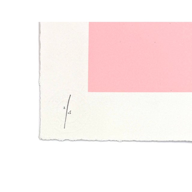 Street Art Fanakapan, Pet Hate (Pink), Framed Hand Finished Screen Print, 2020 For Sale - Image 3 of 4