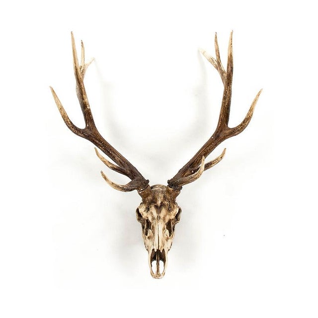 The Deer Skull Wall Decor from Zentique is a polyresin deer skull with antlers in an alternate finish. Measures 45.5"H x...