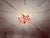 Vintage Murano Glass Floral Chandelier – Rare Deep Pink Flowers, Flush Mount For Sale - Image 4 of 18
