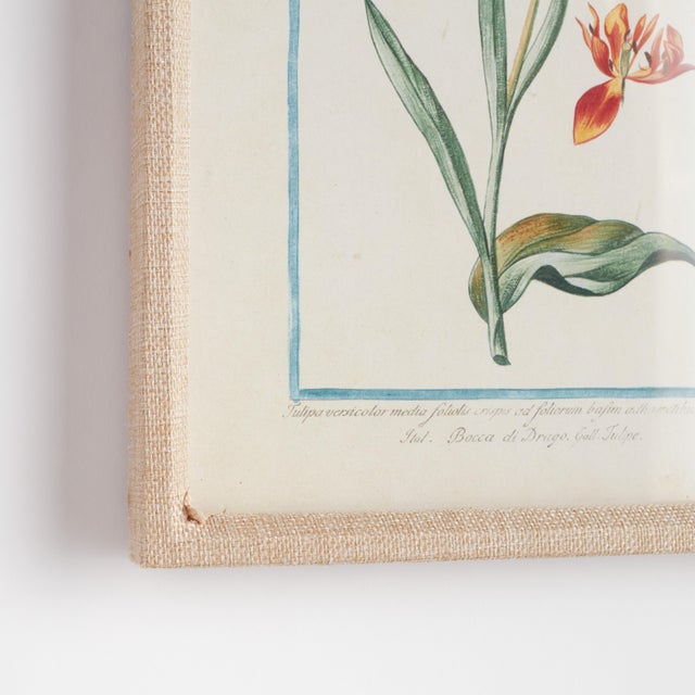 This sweet selection of 9 botanicals in multicolor hues is a charming set. Hang together or break up for smaller...