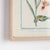 This sweet selection of 9 botanicals in multicolor hues is a charming set. Hang together or break up for smaller...