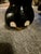 Large Teakwood Elephant Garden Seat Sculpture For Sale - Image 4 of 9