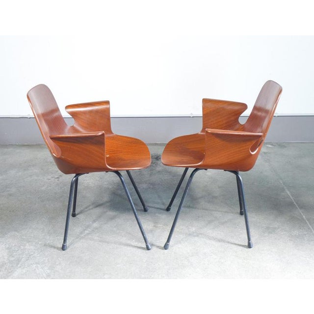 Medea Chairs by V. Nobili for Tagliabue, Set of 2 For Sale - Image 12 of 18