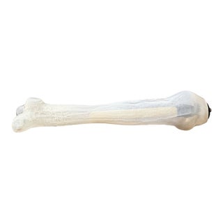 Esque Studio Blasfemur Table Lamp For Sale