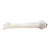 Esque Studio Blasfemur Table Lamp For Sale