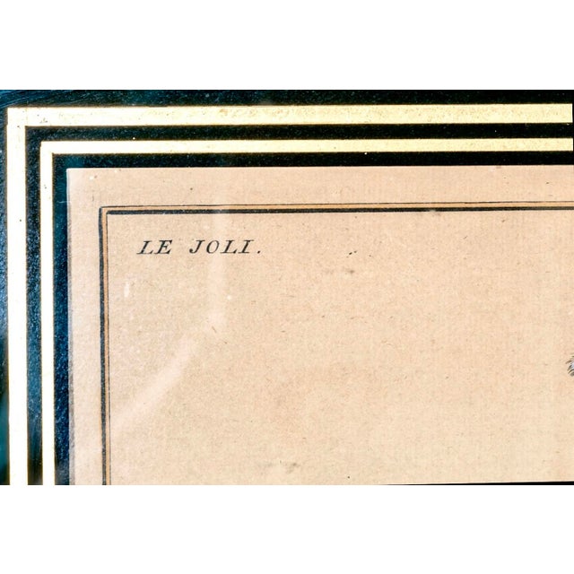 Mid 20th Century Pair of Engravings After Baron Friedrich Wilhelm Von Eisenberg "Le Joli" and "Le General" in Handsome Vintage Frames For Sale - Image 4 of 11