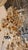 Glass 1920s French Orange and Clear Crystal Chandelier For Sale - Image 7 of 12