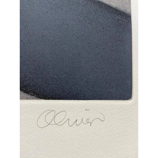 Contemporary Perry Oliver, Vinculo tejado, 1999, Lithograph For Sale - Image 3 of 6