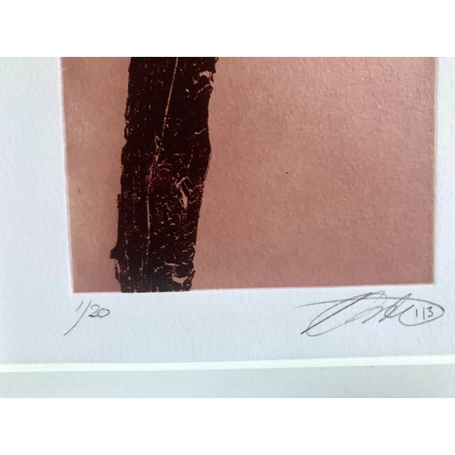 2013 "Untitled" Photogravure With Chine-Collé by Henrieke Strecker For Sale - Image 4 of 11