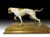 Porcelain Pointer, Early 20th Century For Sale - Image 9 of 13