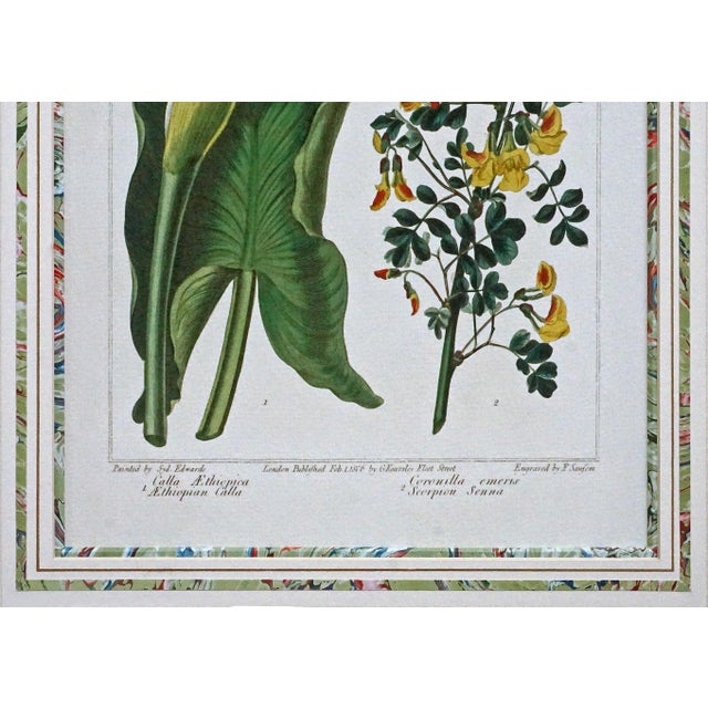 Late 20th Century Pair of Gilt-Framed Large Botanical Prints: Calla Lily & Passion Flower For Sale In Philadelphia - Image 6 of 7