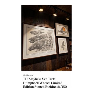 j.d. Mayhew Gray Whales and Kelp 1983 Limited Edition Etching Print, Signed and Numbered For Sale